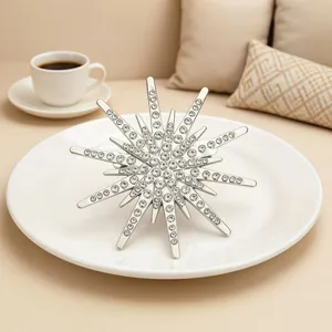 Elegant silver starburst brooch with sparkling rhinestones displayed on a white plate