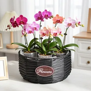 Detailed view of black hand-woven orchid flower basket with colorful flowers in room