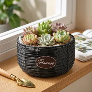 Detailed view of hand-woven black succulent flower basket on a sunny windowsill