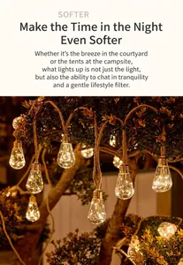 Gros plan d'ampoules LED solaires en corde de chanvre dans un jardin