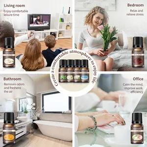 Versatile YINSHO aromatherapy essential oils set for home and office diffuser use