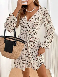 Detailed view of leopard print long sleeve mini dress with V-neck and ruched waist