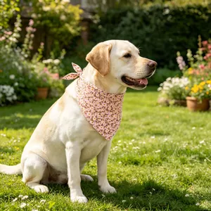 Detalle de pañuelo de algodón para perro con estampado de margaritas rosas
