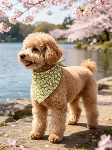 Primer plano de un pañuelo verde con margaritas para perro en primavera.