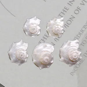 Natural Polished Spiral Conch Shell With Artificial Pearl Luster For Jewelry Making DIY Craft Home Aquarium Decor Nautical Shell Pendant