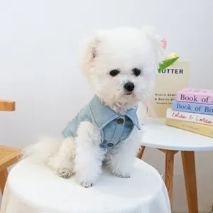 Gros plan d'un chien blanc portant une veste en jean bleu clair élégante en intérieur.
