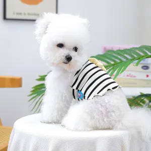 Close-up of a white Bichon puppy wearing a striped pet vest with a yellow flower detail