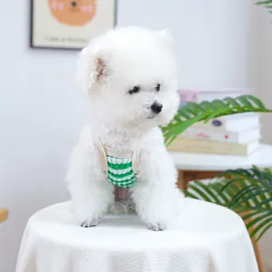 Close-up view of a small white dog wearing a green and white striped pet vest for dogs