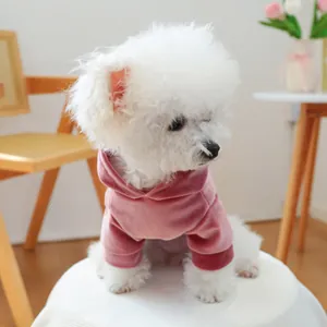 Soft pink velvet dog hoodie shown on a white bichon frise for a cozy pet look.