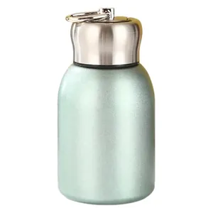 Mini 304 stainless steel vacuum insulated pocket water bottle with carrying loop