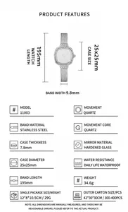 Detailed specifications for GEDI small square women's watch with stainless steel mesh strap