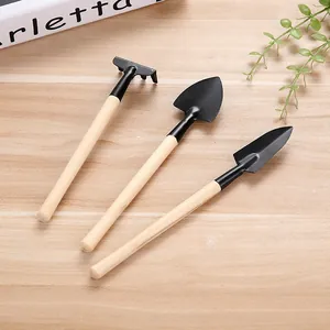 Ensemble d'Outils de Jardinage Avec Manche en Bois Fer Pelle Râteau Truelle pour Succulentes Plantes en Pot