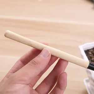 Manche en bois ergonomique d'un mini outil de jardinage pour la plantation de succulentes