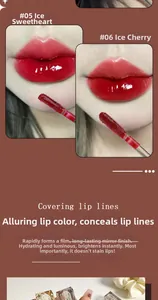 Mirror lip glaze showing shades #05 and #06 for moisturizing and glossy lip finish