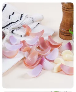 Macro view of realistic artificial onion slices and garlic cloves for play food