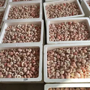 Bulk natural pink sea urchin shells in storage boxes for air plant pots
