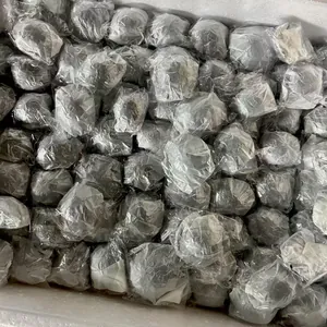 Bulk natural sea urchin shells individually wrapped for safe shipping in foam box