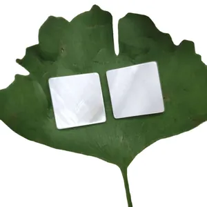 White square mother of pearl shell pieces for DIY earring and headwear accessories
