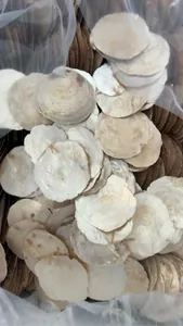 Bulk natural translucent capiz shells for DIY home decoration and wedding bouquets