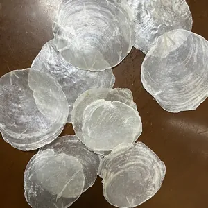 Natural translucent white Capiz shell pieces for home decor and wedding DIY 5-9cm