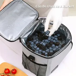 Waterdichte geïsoleerde lunchtas met lekvrije voering en mesh zijvak voor picknick