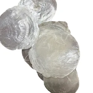 Natural translucent Capiz mother of pearl shells for home decor and wedding event crafts