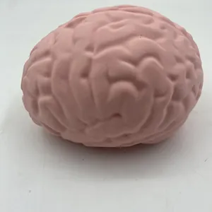 Detailed macro view showing the realistic texture of a pink brain slow rebound toy