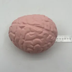 Detailed view of pink brain stress relief squishy toy with ruler for size reference