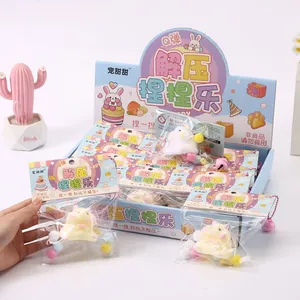 Detailed view of soft TPR hamster squishy toy in its cute retail packaging box.