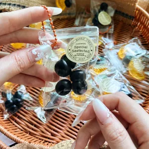 Close-up of a mini simulation blueberry squeeze toy in a clear bag with a silver chain.