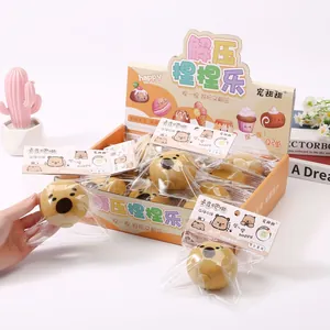 Macro view of cute capybara squeeze toys inside their original retail display packaging box