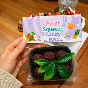 Realistisches Yangmei-Frucht-Squishy-Spielzeug zum Stressabbau in Verkaufsverpackung