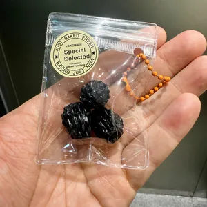 Macro view of realistic miniature blueberry squishy toy inside a mini sealed bag