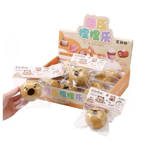 Cute cartoon capybara squishy stress relief toy presented in a bulk retail display box