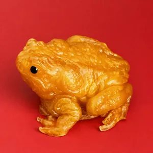 Detailed macro view of an amber translucent toad squishy stress relief toy with texture