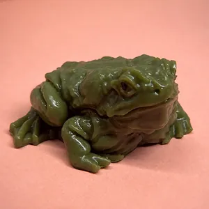 Realistic green toad squishy toy for stress relief featuring detailed skin texture.