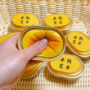 Soft hand-squeezed slow rebound half-baked cheesecake squishy toy for stress relief