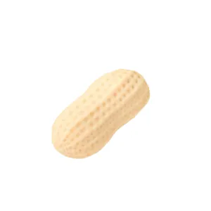 Realistisches Erdnuss-Form Squishy Spielzeug zum Stressabbau mit weicher Textur.