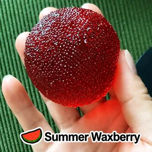 Juguete squishy con forma de mirica roja de rebote lento para aliviar el estrés