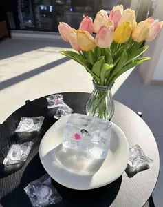 Nahaufnahme eines klaren Eiswürfel-Squishys mit bunten Anhängern auf einem Teller.