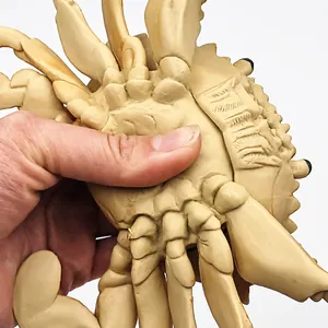 Handheld lifelike soft rubber crab squeeze toy with sound for kids' educational play