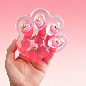 Gedetailleerd overzicht van groot roze transparant kattenpoot squishy speelgoed met aardbei