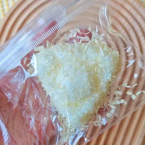 Detailed macro view of realistic fried food texture on squishy toy in clear bag