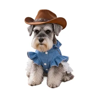 Adorable Schnauzer dog wearing a Texas-style denim dress and brown cowboy hat