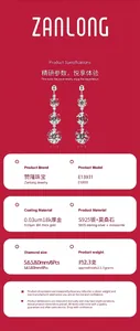 Gedetailleerde specificaties en materiaalparameters voor S925 sterling zilveren moissanite oorbellen