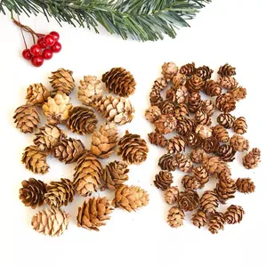 Detailed view of various natural pine cones for rustic Christmas DIY decorations