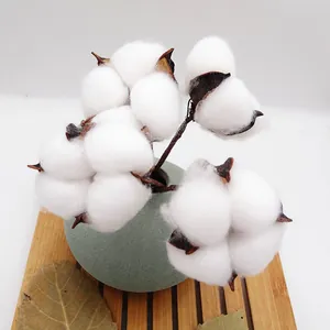 Detailed close-up view of natural dried cotton flower heads in a green ceramic vase