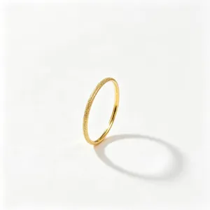 Minimalist frosted stardust titanium steel ring in gold finish with elegant shadow