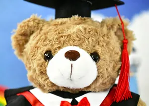 Close-up of graduation teddy bear plush wearing a mortarboard and gown with red tassel