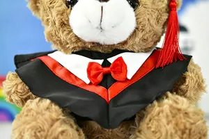 Close-up detail of a graduation teddy bear plush wearing a black bachelor gown.
